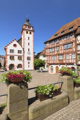 Town hall and Palmsches Haus on market square, Mosbach, Neckartal Valley, Odenwald, Baden-Wurttemberg, Germany, Europe - RHPLF27271