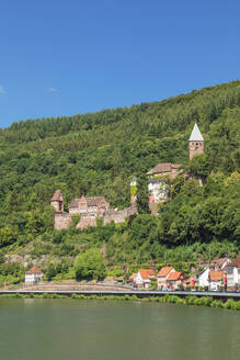 Zwingenberg Castle, Neckartal Valley, Odenwald, Burgenstrasse, Baden-Wurttemberg, Germany, Europe - RHPLF27273