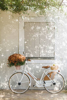 Fahrrad mit Chrysanthemenblüten und Kürbis vor dem Haus - SVKF01603