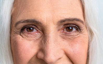 Beautiful senior woman portrait, studio shot on background - Elderly person, half body shot - DMDF02821