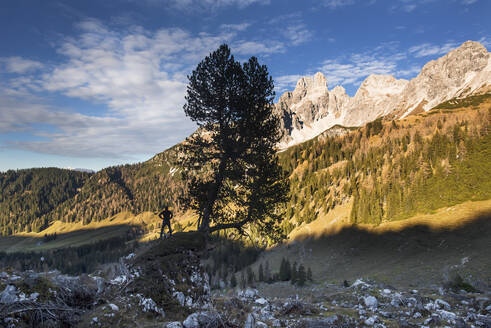 Österreich, Salzburger Land, Dachsteingebirge in der Abenddämmerung mit Silhouette eines männlichen Wanderers an einem einsamen Baum - HHF05903