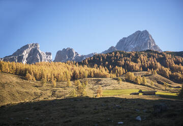 Austria, Salzburger Land, Alpine pasture in autumn - HHF05906