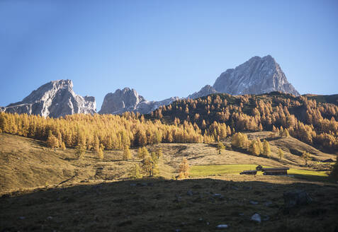 Österreich, Salzburger Land, Almwirtschaft im Herbst - HHF05906