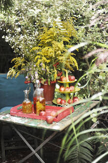 Äpfel, abgefüllte Öle und verschiedene Pflanzen auf dem Gartentisch - HHF05912