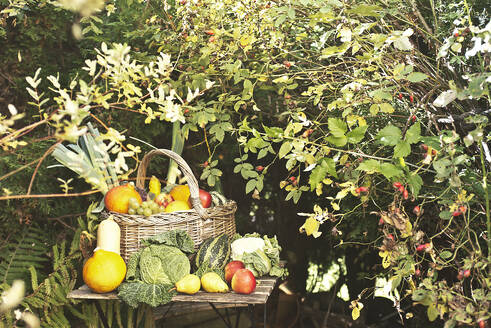 Autumn fruits and vegetables on garden table - HHF05917