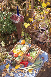 Herbstblätter, Obst und Gemüse auf dem Gartentisch - HHF05920