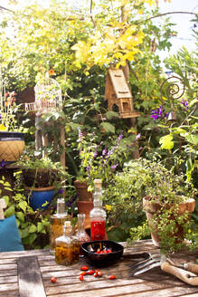 Rose hips, potted plants, bottled oils and gardening fork and trowel lying on garden table - HHF05922