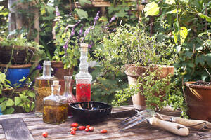 Auf dem Gartentisch liegen Hagebutten, Topfpflanzen, abgefüllte Öle sowie Gartengabel und -kelle - HHF05924