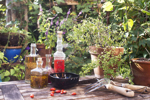 Rose hips, potted plants, bottled oils and gardening fork and trowel lying on garden table - HHF05924