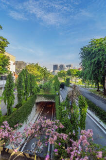 Singapore, Singapore City, Roads near Clarke Quay with pink blossoms in foreground - THAF03211