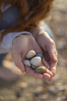 Variety of seashells in hands of woman at beach - KNSF09732