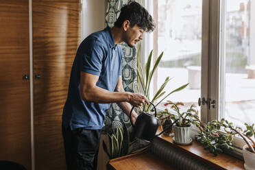 Male care assistant watering plants on window sill at home - MASF37611