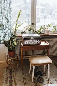Audio equipment and plants arranged on table at home - MASF37638