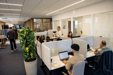 Male and female business colleagues working on laptops sitting in coworking office - MASF38071