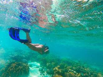 Woman diving underwater to see a japanese ship wreck in Coron, Philippines - DMDF03617