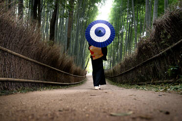 Asiatische Frau im traditionellen japanischen Kimono im Bambuswald in Kyoto, Japan - DMDF03638