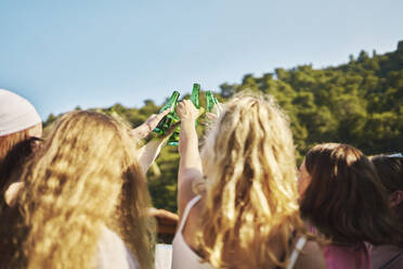 Freunde stoßen mit Bärenflaschen an einem sonnigen Tag an - ANNF00421