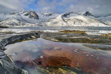 Norwegen, Troms og Finnmark, Pool an der Küste der Insel Senja - ANSF00477