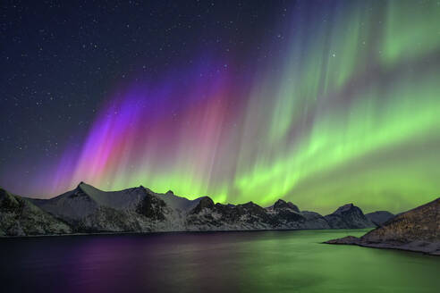 Norwegen, Troms og Finnmark, Grüne und violette Nordlichter über dem Mefjord - ANSF00520