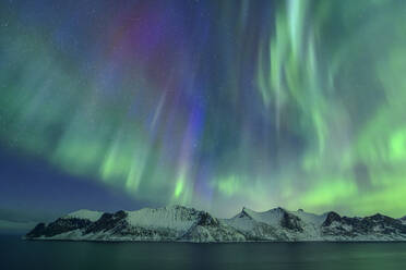 Norwegen, Troms og Finnmark, Grüne Nordlichter über dem Mefjord - ANSF00523