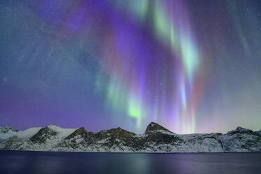 Norwegen, Troms og Finnmark, Grüne und violette Nordlichter über dem Mefjord - ANSF00525