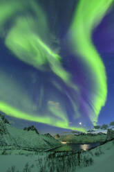 Norway, Troms og Finnmark, Green northern lights over Oyfjord - ANSF00528