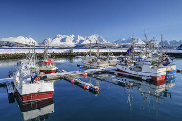 Norwegen, Troms og Finnmark, Oldervik, Yachthafen in abgelegenem Fischerdorf - ANSF00560