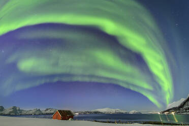 Norwegen, Troms og Finnmark, Joviknes, Nordlicht über Küstenhütte - ANSF00566