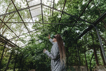 Woman watching trees through VR glasses in greenhouse - YTF01108