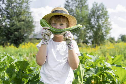 Boy wearing hat holding zucchini in garden - VBUF00360