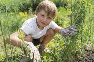 Lächelnder Junge hockt bei Dillpflanzen im Garten - VBUF00364