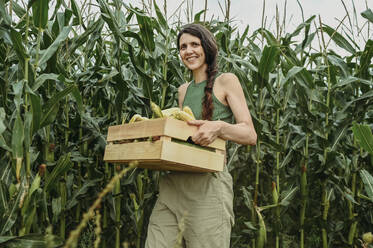 Lächelnde Frau, die eine Kiste mit Maiskörnern in einem Feld hält - ANAF02039