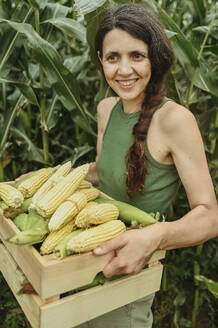 Glückliche Frau trägt Maiskörner in einer Kiste in der Nähe eines Feldes - ANAF02041