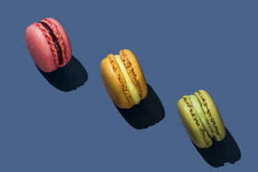 Multi colored macaroons on blue background - FLMF01011