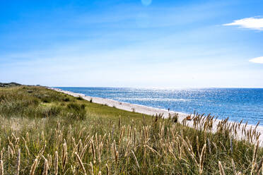 Deutschland, Schleswig-Holstein, Ufer der Insel Sylt im Sonnenlicht - EGBF00871