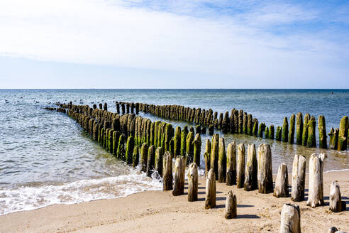 Deutschland, Schleswig-Holstein, Groynes auf Sylt - EGBF00873