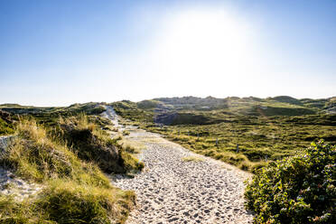 Deutschland, Schleswig-Holstein, Sandiger Wanderweg auf Sylt - EGBF00878