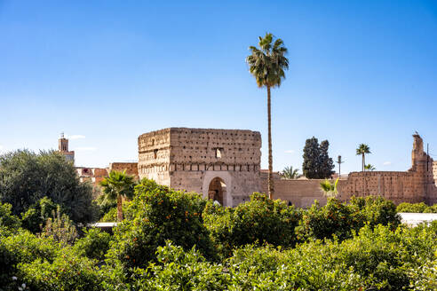 Morocco, Marrakesh-Safi, Marrakesh, Green trees outside El Badi Palace - EGBF00881