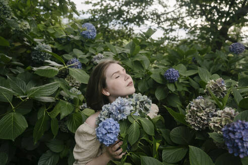 Young woman holding bunch of hydrangea flowers in garden - YBF00154