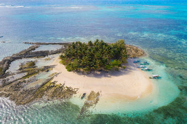 Guyam Island, Siargao, Philippines - Tropical beach with blue water and palm trees - DMDF03822