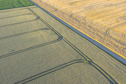 Germany, Saxony-Anhalt, Aerial view of country road cutting through fields in Harz - PVCF01359