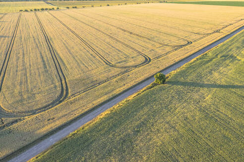 Germany, Saxony-Anhalt, Aerial view of country road cutting through fields in Harz - PVCF01360