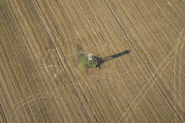 Germany, Saxony-Anhalt, Aerial view of high seat in middle of field - PVCF01363