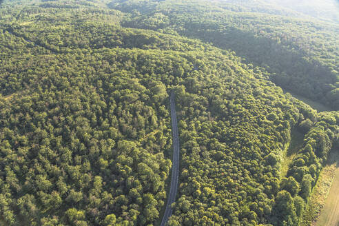 Deutschland, Sachsen-Anhalt, Luftaufnahme der Bundesstraße 185, die durch einen grünen Wald im Harz führt - PVCF01364