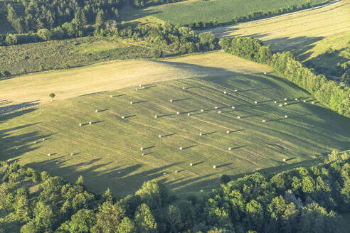 Germany, Saxony-Anhalt, Aerial view of hay bales drying in green field - PVCF01368