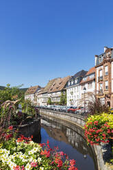France, Grand Est, Wissembourg, Houses along Canal Lauter with blooming flowers in foreground - GWF07903