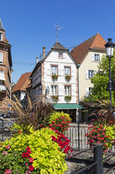 Frankreich, Grand Est, Wissembourg, Mit blühenden Blumen geschmückte Straße - GWF07904