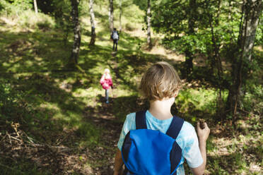 Boy hiking with sister and father in forest - IHF01625