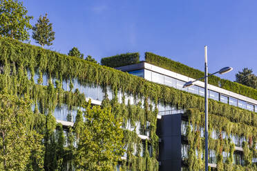 Germany, Baden-Wurttemberg, Stuttgart, Overgrown facade of office building - WDF07379