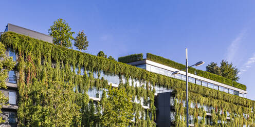 Germany, Baden-Wurttemberg, Stuttgart, Panorama of overgrown facade of office building - WDF07380